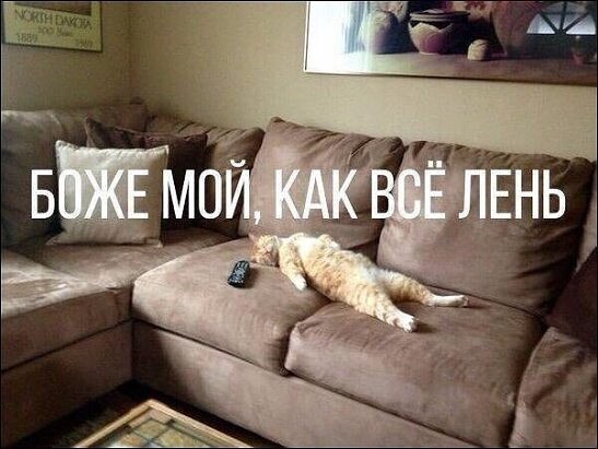 4743317_i_jpgky5 (547x411, 55Kb)