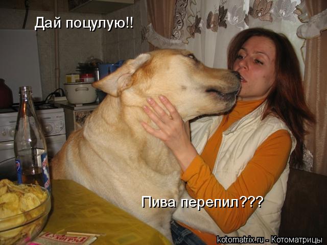 4743317_9D (640x480, 46Kb)