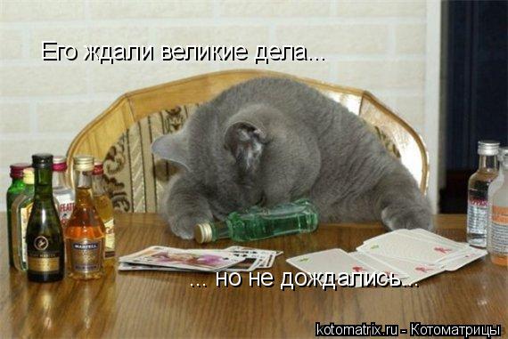 4743317_FG (570x381, 40Kb)