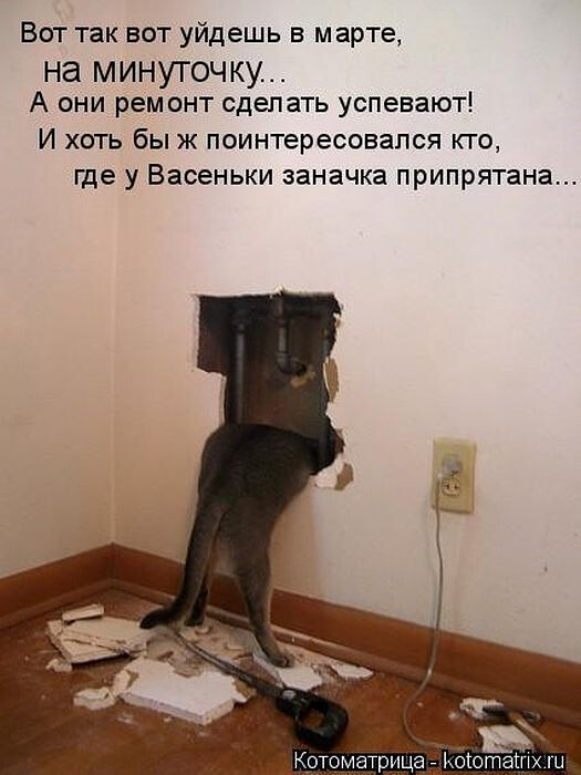4743317_i_jpgor (525x700, 68Kb)