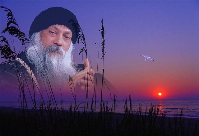 6869623_osho (640x439, 74Kb)