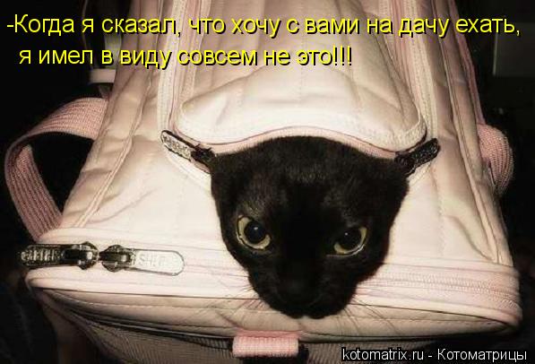 4743317_wd (597x406, 44Kb)