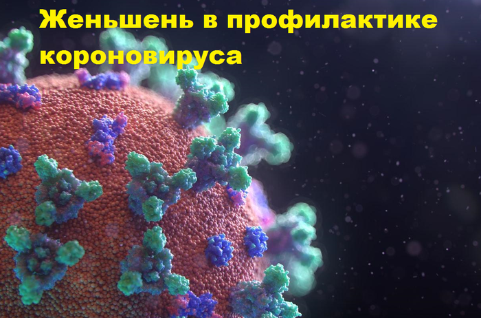 Безымянный777 (700x462, 433Kb)