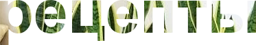 4565946_oie_y8VGBaC1ZnT7 (373x66, 28Kb)