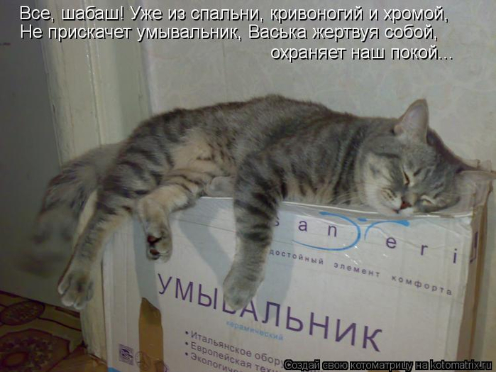 kotomatritsa_Cv (700x524, 282Kb)