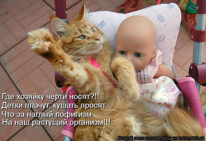 kotomatritsa_NTv (700x479, 375Kb)