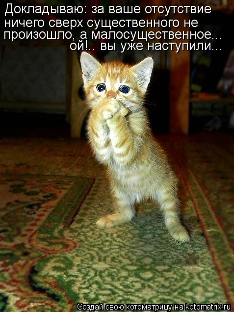 kotomatritsa_t5 (477x636, 236Kb)