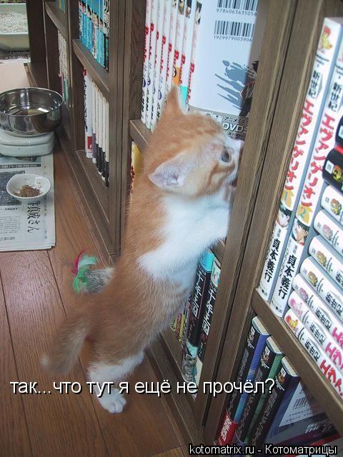 4743317_59 (480x640, 67Kb)