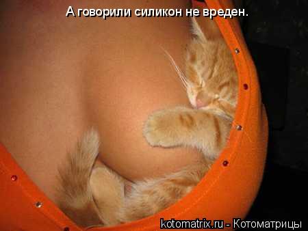 4743317_kq (450x338, 17Kb)