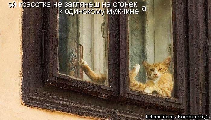 4743317_K (699x398, 65Kb)