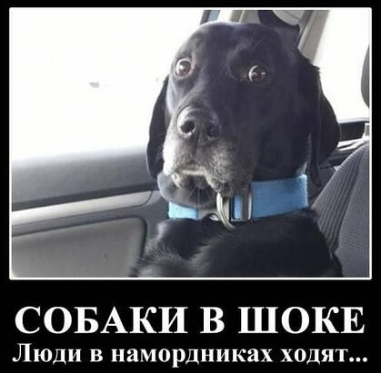 4743317_i_jpgpa (419x411, 33Kb)
