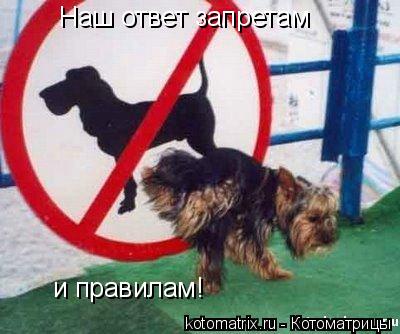 4743317_k5 (400x334, 28Kb)