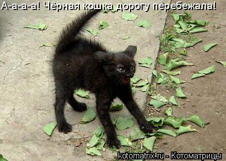 4743317_p (450x320, 38Kb)