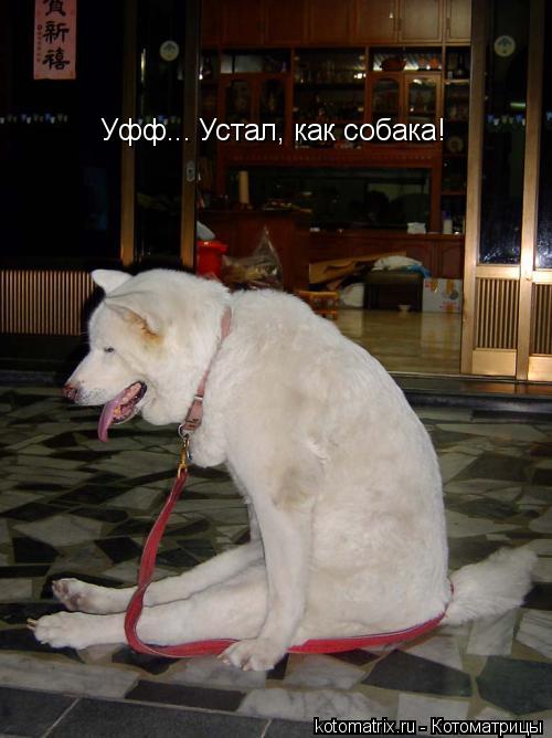 4743317_o_jpgz (500x668, 45Kb)