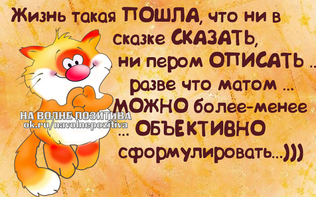 пп (640x400, 263Kb)