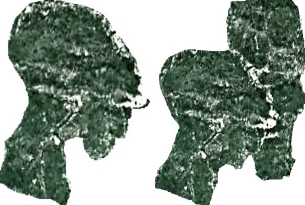 7290692_24_09_21_Liki_1_1_3 (610x411, 64Kb)