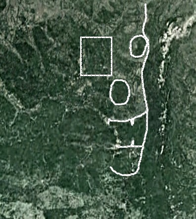 7290692_30_09_21g__Liki_1_1 (396x443, 58Kb)