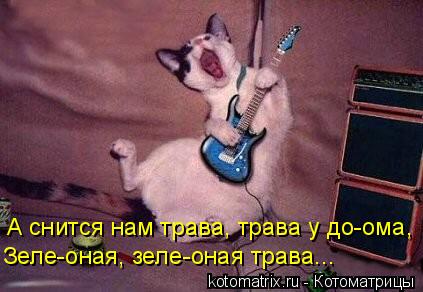 4743317_Yd (423x292, 27Kb)