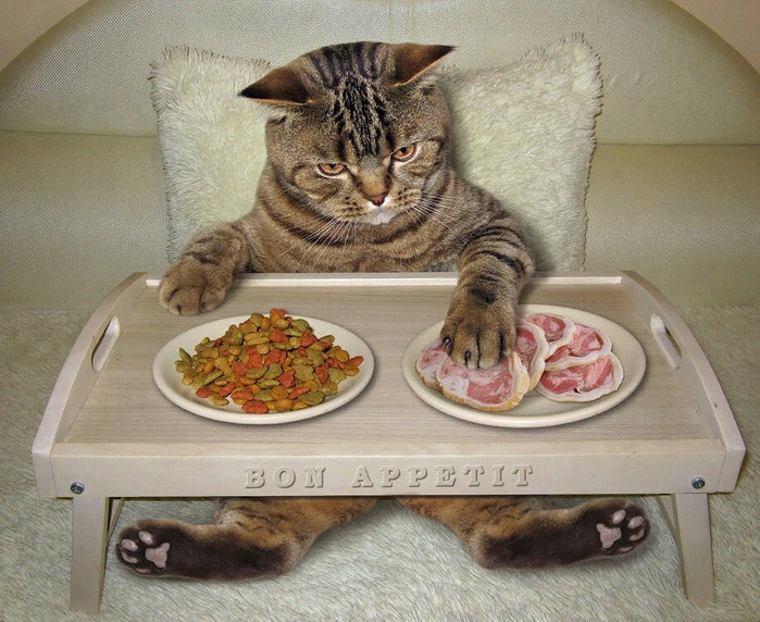 4743317_i_jpgrrr (700x572, 149Kb)
