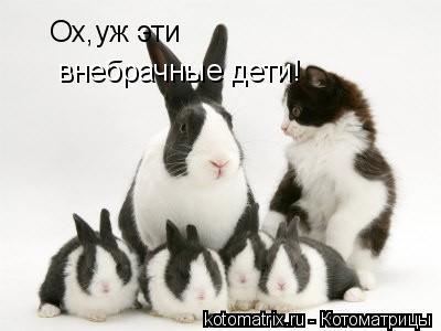 4743317_yh (400x300, 18Kb)