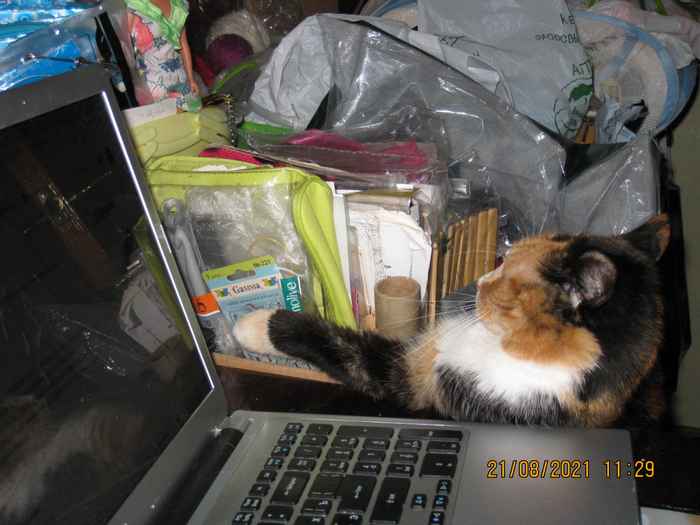 IMG_7941 (700x525, 459Kb)