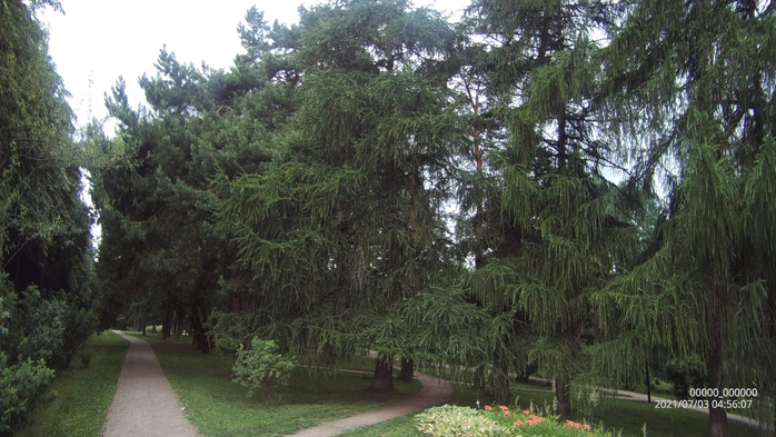 0000000_00000020210703045609_0030 (700x393, 338Kb)