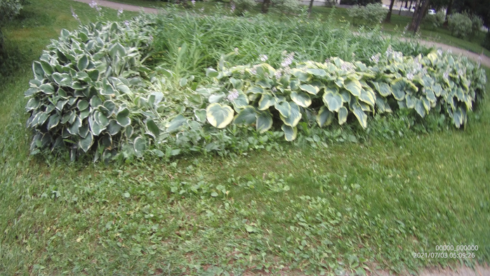 0000000_00000020210703050926_0141 (700x393, 381Kb)