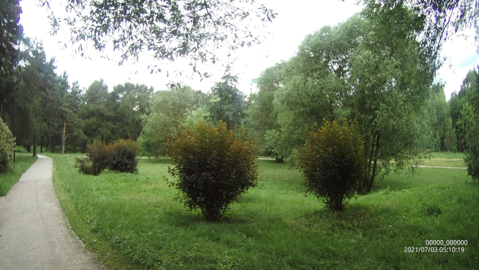 0000000_00000020210703051019_0153 (700x393, 336Kb)