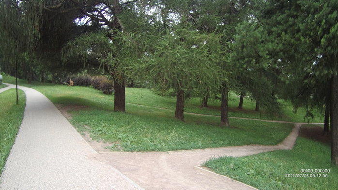 0000000_00000020210703051206_0167 (700x393, 308Kb)