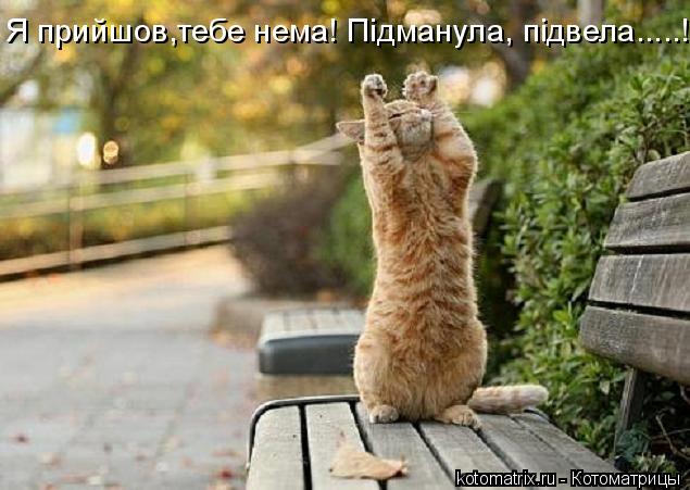 4743317_Mb (635x451, 51Kb)