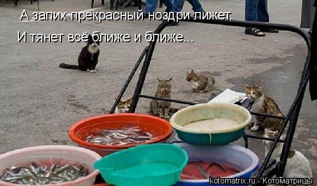 4743317_t (635x373, 48Kb)