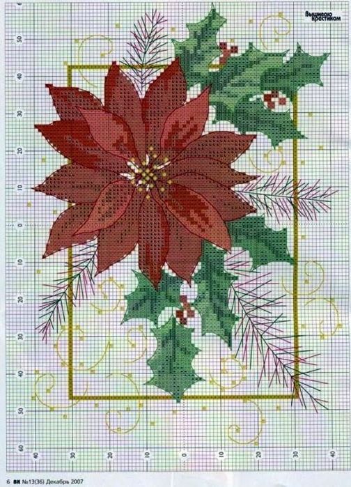 7a925279e7f2509a978e79ac1af6df5a--christmas-flowers-christmas-stuff (504x700, 104Kb)