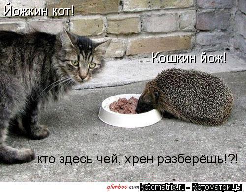 4743317_9H (500x390, 52Kb)