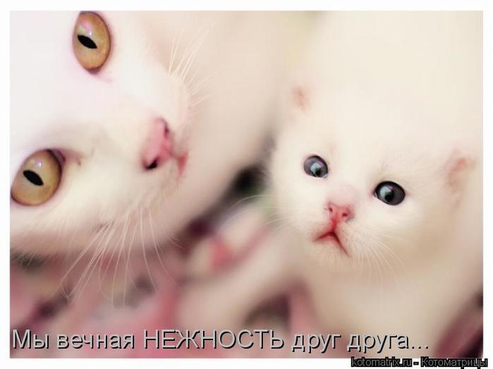 4743317_39 (700x524, 28Kb)