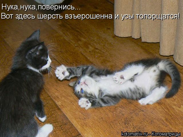4743317_m0p (640x480, 57Kb)