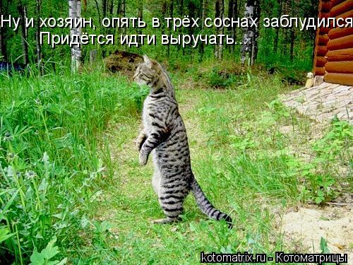 4743317_M (500x375, 69Kb)