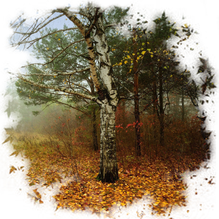 0_d4e9d_dbb6a960_orig (700x700, 1210Kb)
