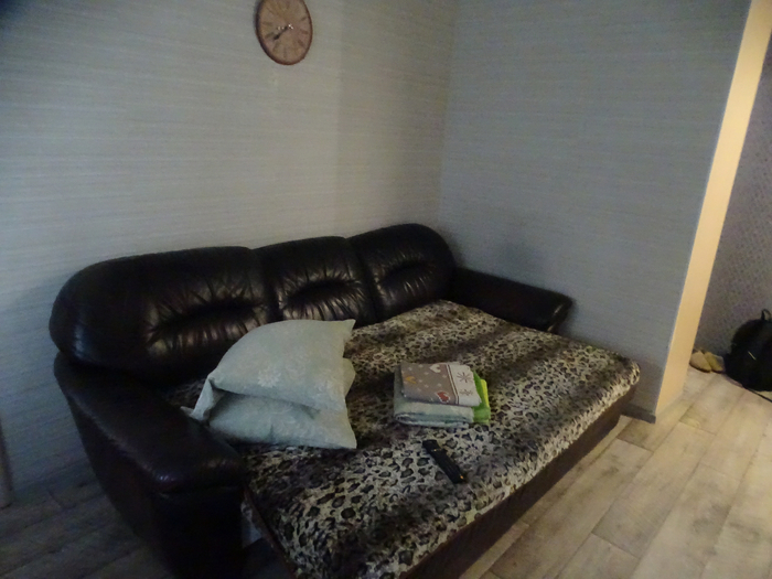 DSC00222 (700x525, 344Kb)