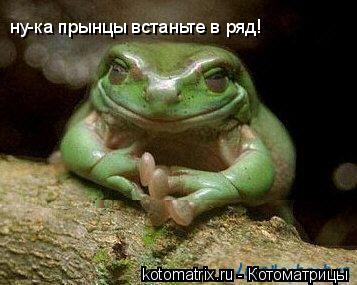 4743317_M (357x285, 24Kb)