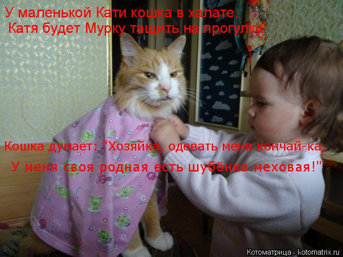 4743317_150565770_139900059_kotomatritsa_L3 (699x524, 400Kb)