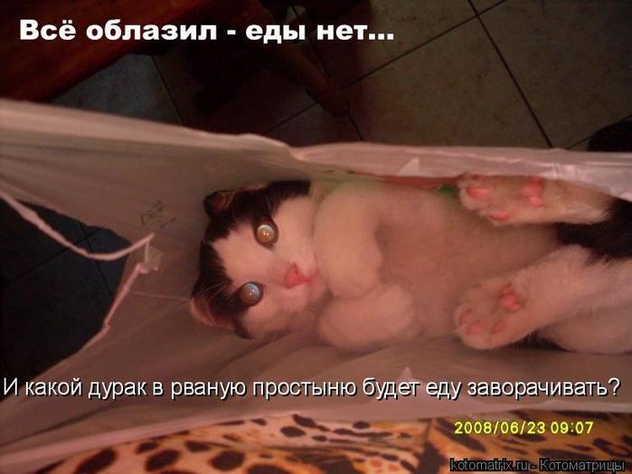 4743317_P_ (700x524, 42Kb)