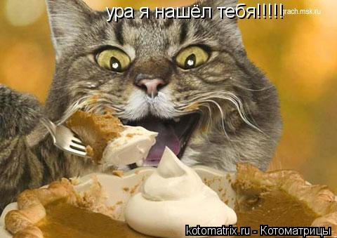 4743317_q (480x339, 33Kb)
