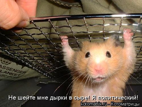 4743317_6P (500x375, 39Kb)