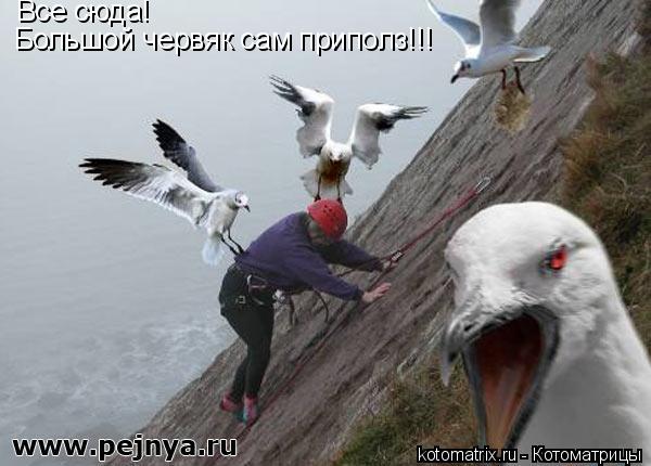 4743317_Yl (600x430, 41Kb)