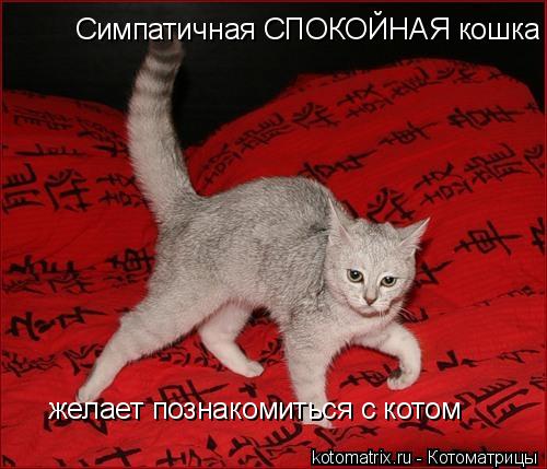 4743317_Cf (500x429, 40Kb)