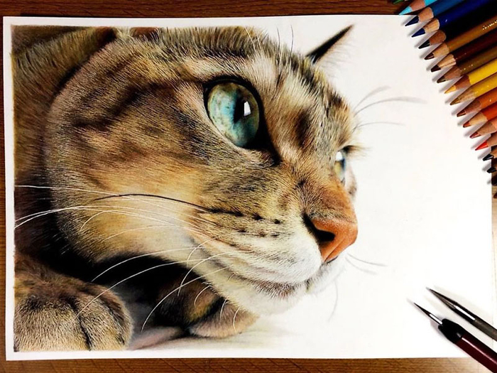 chats-realistes-dessins-artiste-haruki-kudo-03 (700x525, 395Kb)