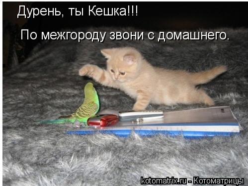 4743317_aS (499x373, 37Kb)