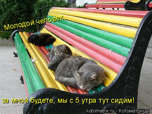 4743317_OI (500x375, 49Kb)