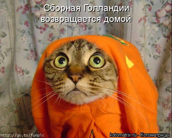 4743317_w_ (597x478, 47Kb)