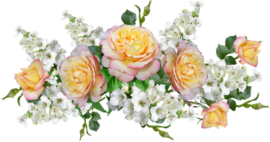 flowers-4273024_960_720 (390x206, 155Kb)